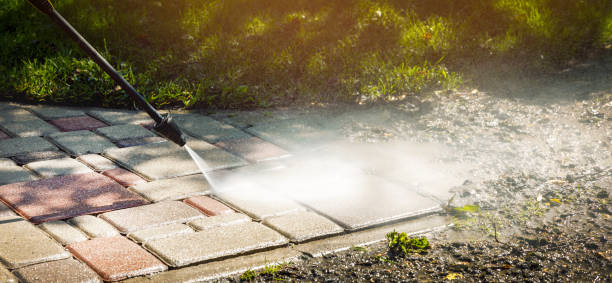 Best Graffiti Removal  in South Holland, IL
